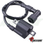 Race Craft PW50/PW80 Ignition Coils